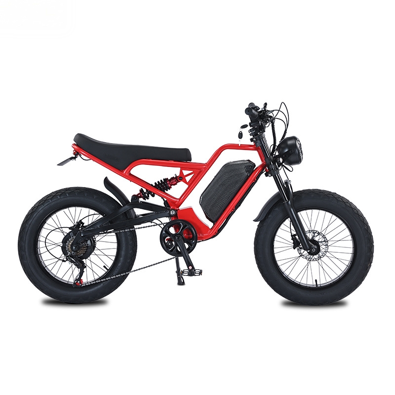 Baterai litium RRE QQA 13Ah, m - 48V 1500W Rear Hub Motor With Battery ulasan dan harga